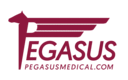 Viviam by Pegasus Medical.com